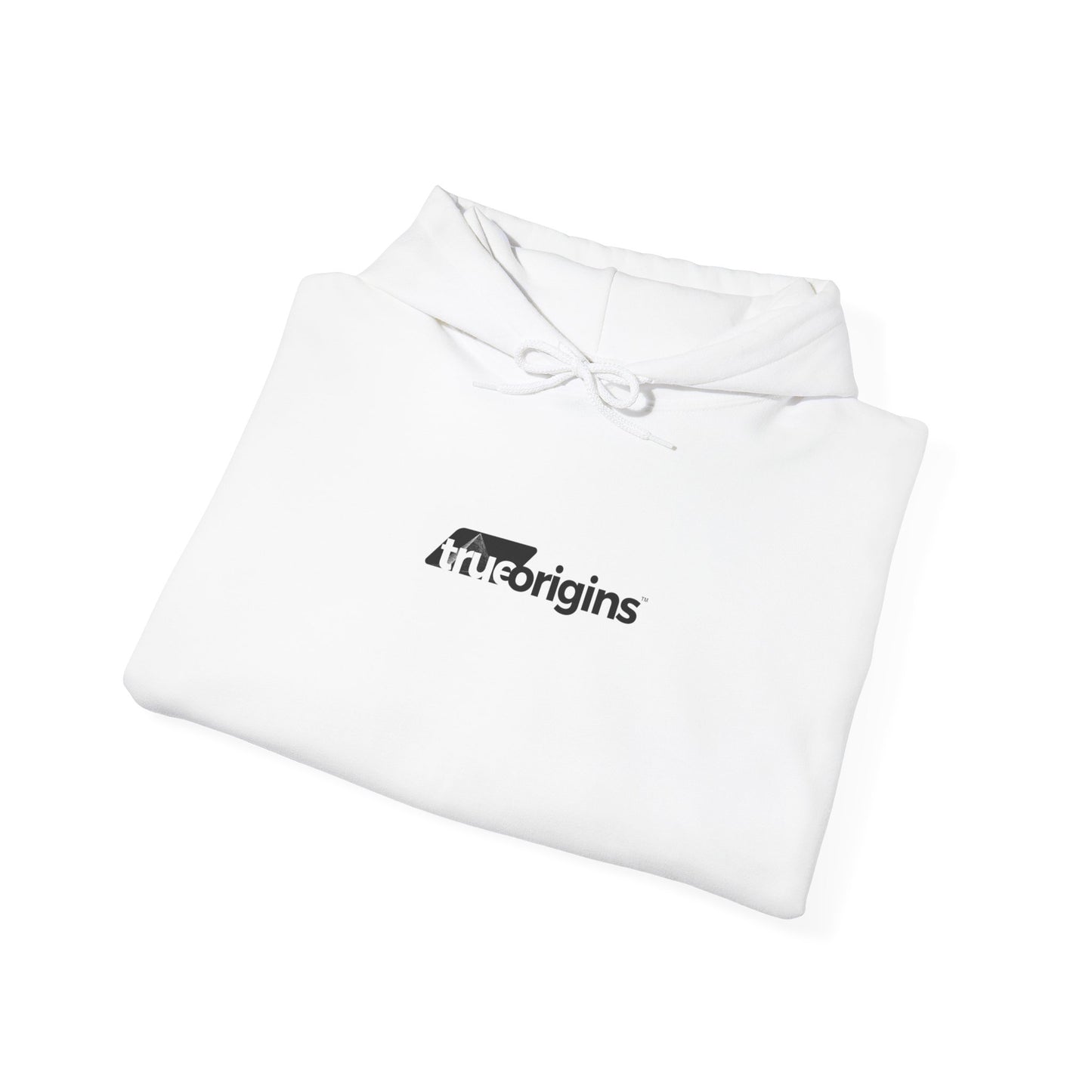 Consciousness Hoodie